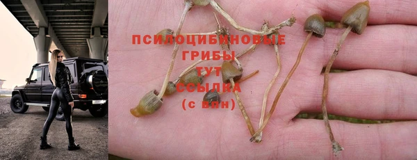 гашишное масло Балабаново