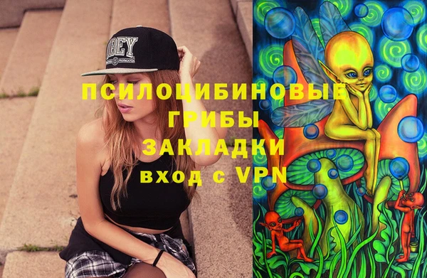 соль ск Балахна